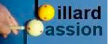 logo billard passion